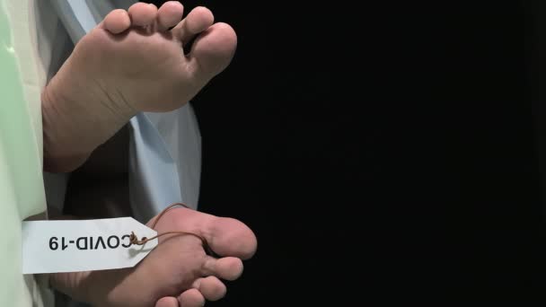 시체 영안실에서 시체 의발 이 움직 이는 모습 — 비디오