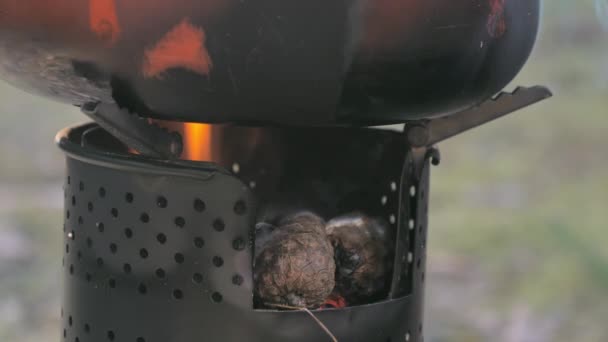 Die Tannenzapfen auf dem Herd mit der roten Kaffeekanne. — Stockvideo