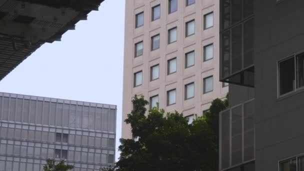 일본 도쿄에 있는 고층 건물의 유리창 — 비디오