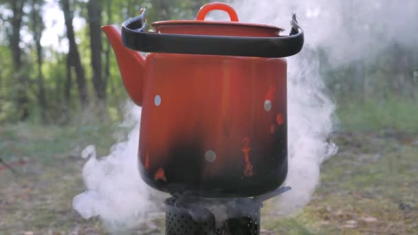 A cafeteira vermelha do fogão na floresta.4K — Vídeo de Stock