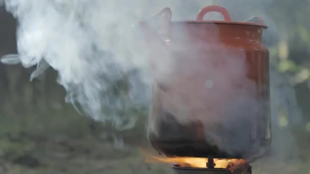 篝火是从露营地的小火炉里冒出来的 — 图库视频影像