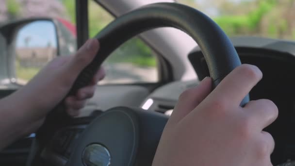 車のハンドルに2本の手 — ストック動画