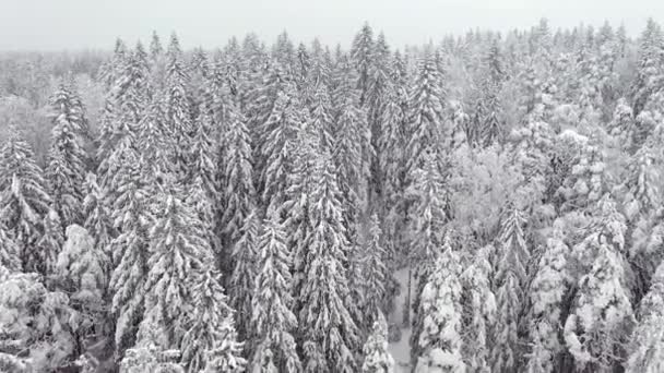 У Фінляндії під час снігопаду випадають чудові дрони.. — стокове відео