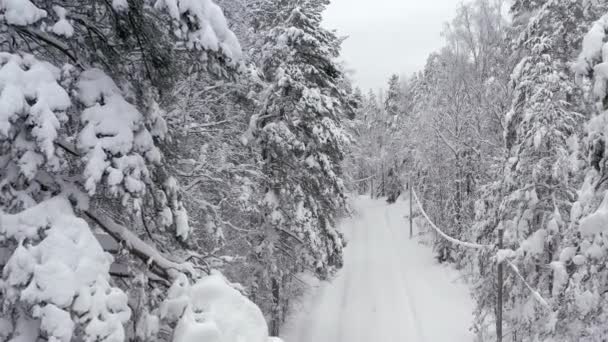 Bel colpo aereo di una strada innevata e la foresta intorno it.mov — Video Stock