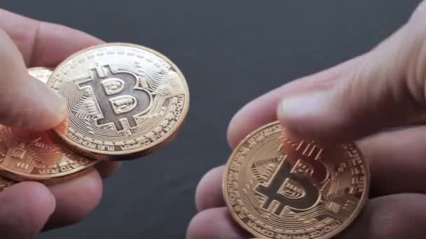Podnikatelka počítá bitcoinové mince z jedné ruky do druhé — Stock video