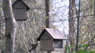 Helsinki 'deki parkta küçük bir kuş besleyici ev