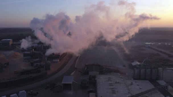 Беспилотник лесопромышленного комплекса в Имавере, Эстония — стоковое видео