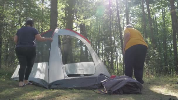 Een ochtend op de camping om de tent op te zetten.4K — Stockvideo