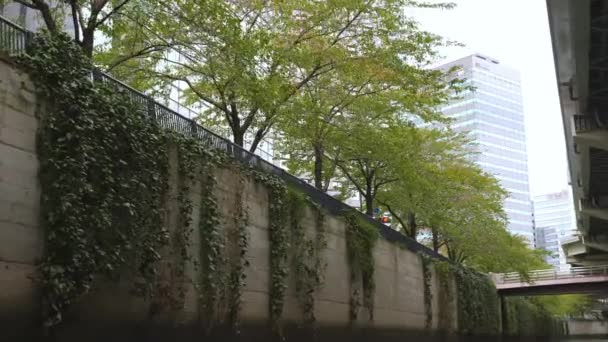Gli alberi sulla parete laterale del canale dell'acqua a Tokyo Giappone — Video Stock