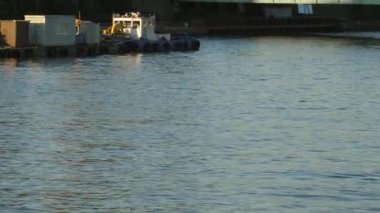 Tokyo 'daki köprüden geçen arabalar.