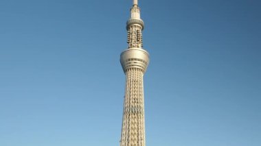 Japonya 'nın Tokyo şehrindeki Gökyüzü Ağacı çardağı.