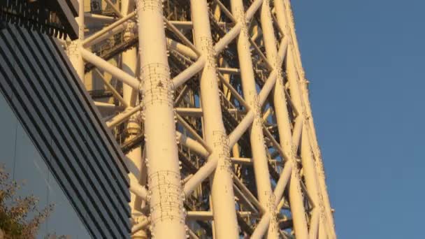 Bliższe spojrzenie na altankę Sky Tree w Tokio Japonia — Wideo stockowe