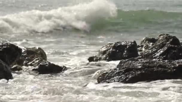 Bubbels komen uit het water in Koijigahama Beach in Tahara Japan — Stockvideo