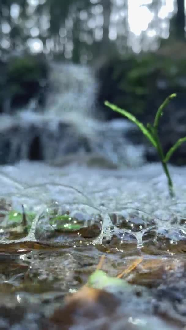 Nahaufnahme von flach sprudelndem Wasser mit einem Wasserfall im Hintergrund. — Stockvideo