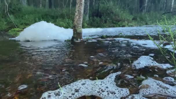 Belle vue d'une rivière paisible entourée d'arbres. — Video