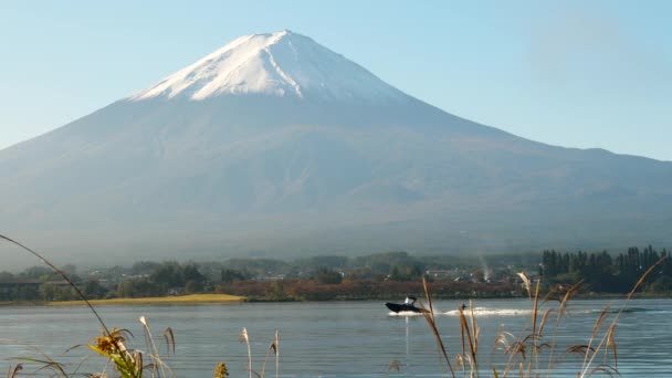 Uma lancha rápida em movimento nas águas do Lago Kawaguchi no Japão — Vídeo de Stock