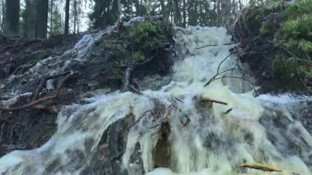 Dichterbij beeld van een kleine waterval omringd door bos. — Stockvideo