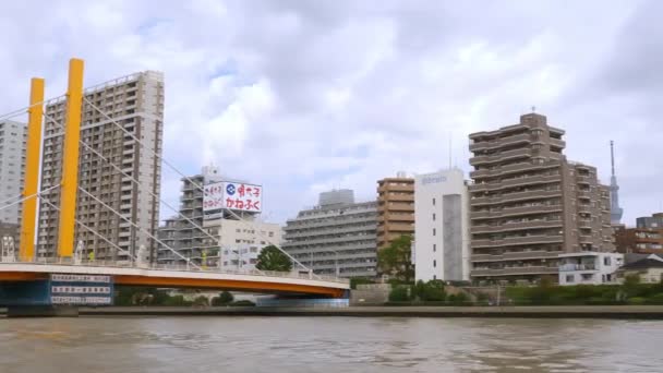 A vista da ponte e os edifícios na cidade de Tóquio, no Japão — Vídeo de Stock