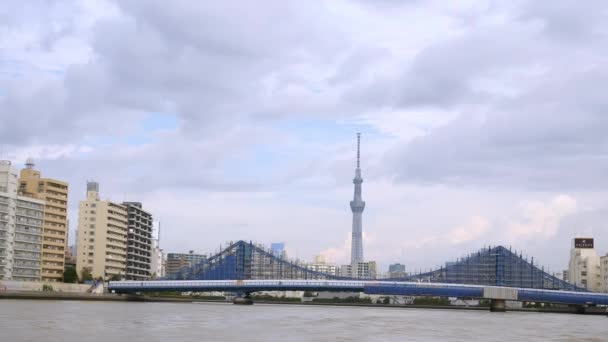 Utsikt över Sky Tower byggnaden mitt i Tokyo i Japan — Stockvideo