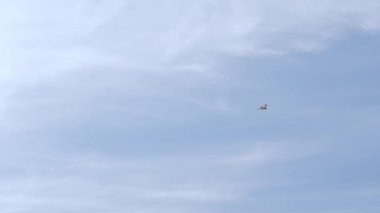 Japonya 'daki Koijigahama Sahili' nde uçan bir kuş.