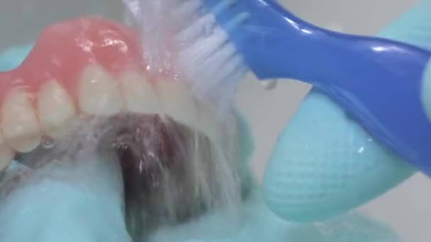 Крупним планом знімок, що показує чищення штучних зубів з проточною водою . — стокове відео