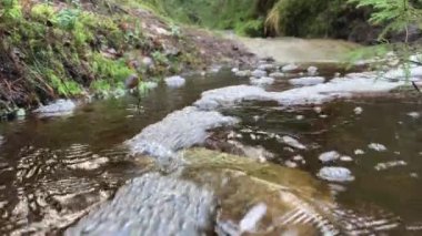 Finlandiya 'da bir nehrin güzel yakın çekimi.