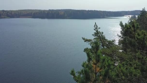 Widok z lotu ptaka wysokie drzewa po stronie jeziora Saimaa w Finlandii.geologia strzał — Wideo stockowe