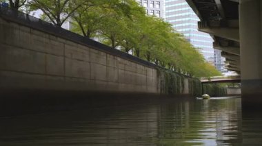 Tokyo 'daki su kanallarının kenarındaki yeşil ağaçlar.