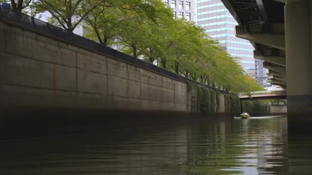 Gli alberi verdi sulla parete laterale dei canali d'acqua a Tokyo Giappone — Video Stock