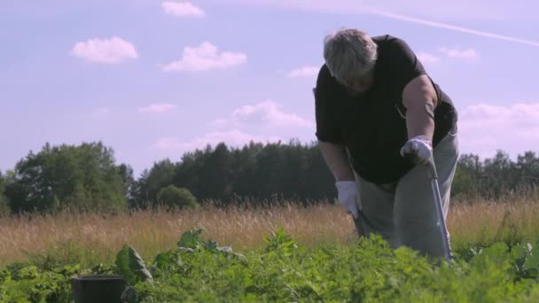A velha senhora doente caminhando lentamente em seu jardim em Estonia.4K — Vídeo de Stock