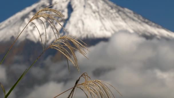 Белые облака на горе Фудзи в Японии с снежным кончиком — стоковое видео