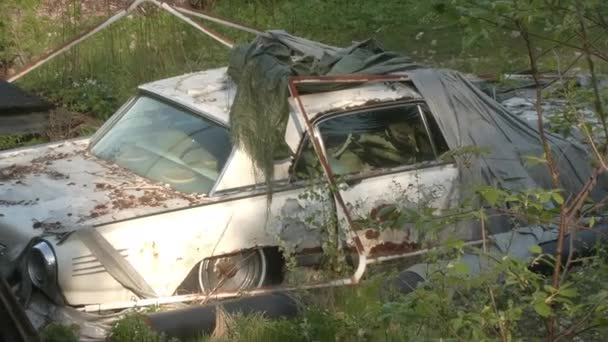 Piękne ujęcie starego porzuconego samochodu w lesie. — Wideo stockowe