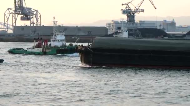 Ett långt stort passagerarfartyg som dras av motorbåten i Osakas hamn i Japan — Stockvideo