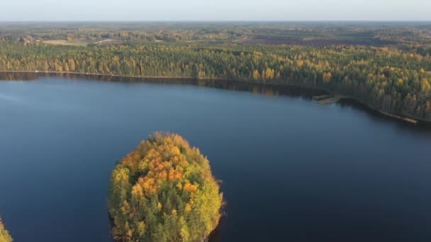 Řada vysokých stromů na břehu jezera Saimaa ve Finsku.geologie shot.4k — Stock video