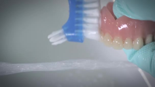 Closeup shot of washing dentures using a brush. — Stock Video