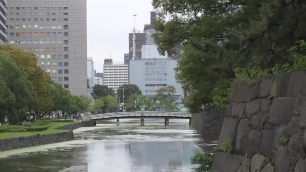 Foto idilliaca del fossato di Hirakawa vicino al Palazzo Imperiale di Tokyo. — Video Stock