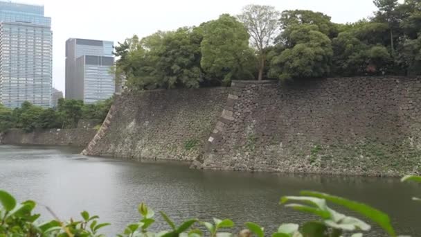 Belo tiro do fosso de Hirakawa perto do Palácio Imperial em Tóquio. — Vídeo de Stock