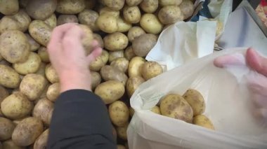 Closeup shot of putting potatoes into a bag.