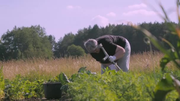 Uma senhora idosa doente e doente em seu jardim em Estonia.4K — Vídeo de Stock