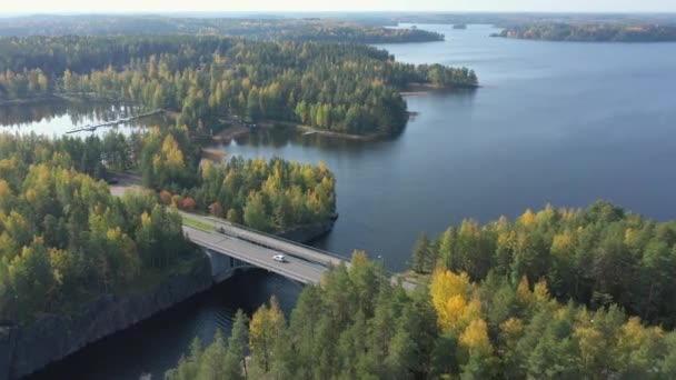 Dron pořízený stromy v jezeře Saimaa ve Finsku.geologie shot.4k — Stock video