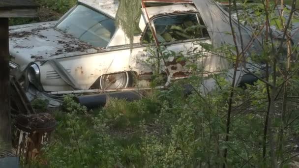 İskandinav ormanında terk edilmiş eski bir arabanın harika bir fotoğrafı.. — Stok video