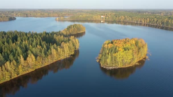 Zelené stromy na ostrovech v jezeře Saimaa na letecké vyhlídce.Geologie shot.4k — Stock video