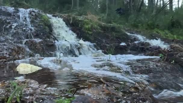 Impresionante toma de una pequeña cascada rodeada de árboles Finlandia. — Vídeo de stock