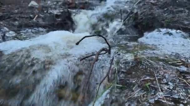 Close-up tiro de um pequeno riacho que flui descendo na Finlândia. — Vídeo de Stock