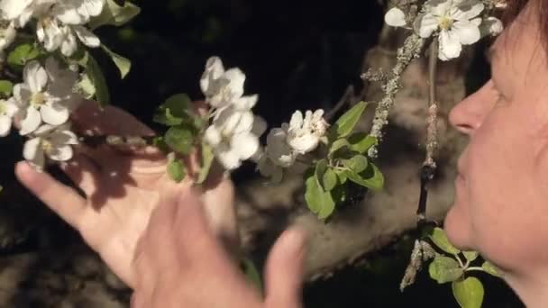 Closeup shot of a caucasian lady smelling apple tree blossoms. — Stock Video