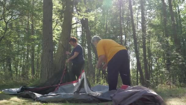 Två medelålders dam hjälper varandra att sätta ihop tältet.4K — Stockvideo