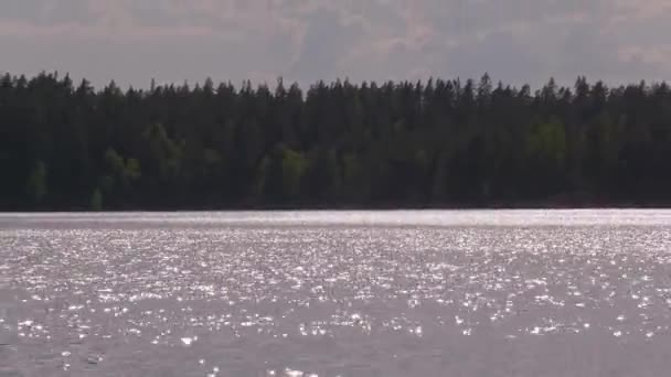 Idyllic shot of sunlight reflecting off of a lake in Finland. — Stock Video