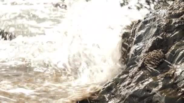 Grandi rocce sul lato della spiaggia di Koijigahama a Tahara Giappone — Video Stock