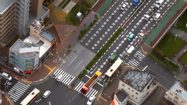 Auto 's en bussen op straat in Tokio Japan — Stockvideo