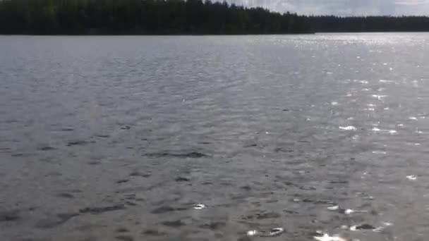 Ειδυλλιακή φωτογραφία μιας όμορφης λίμνης στη Φινλανδία σε μια ηλιόλουστη μέρα. — Αρχείο Βίντεο